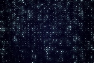 仙游房地产信息网 望江租房